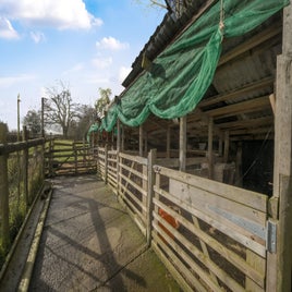 71_1250818-39-standard.jpg