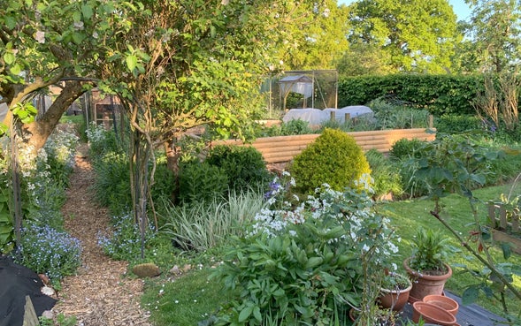 Productive kitchen garden and orchard on regenerative property with land in Earlswood