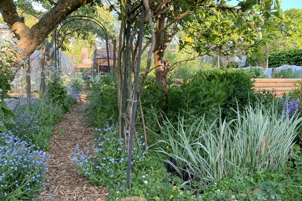 Beyond organic. Supporting biodiversity on regenerative property with land