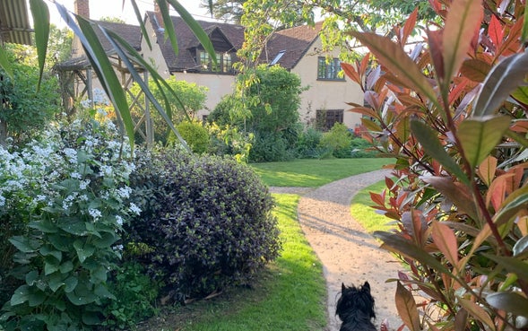500-year-old timber-framed farmhouse on property with land for sale in Earlswood