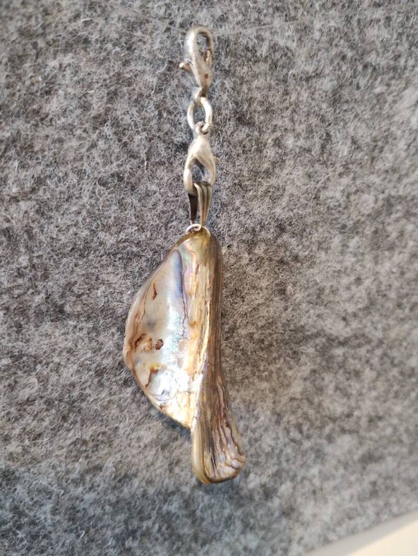 Abalone schelp hanger