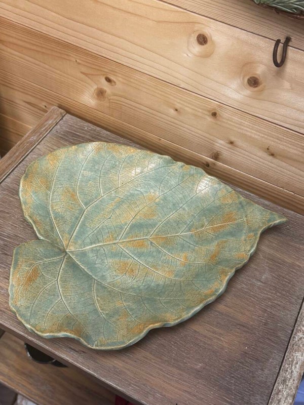 Plat groot herfstkleur blad