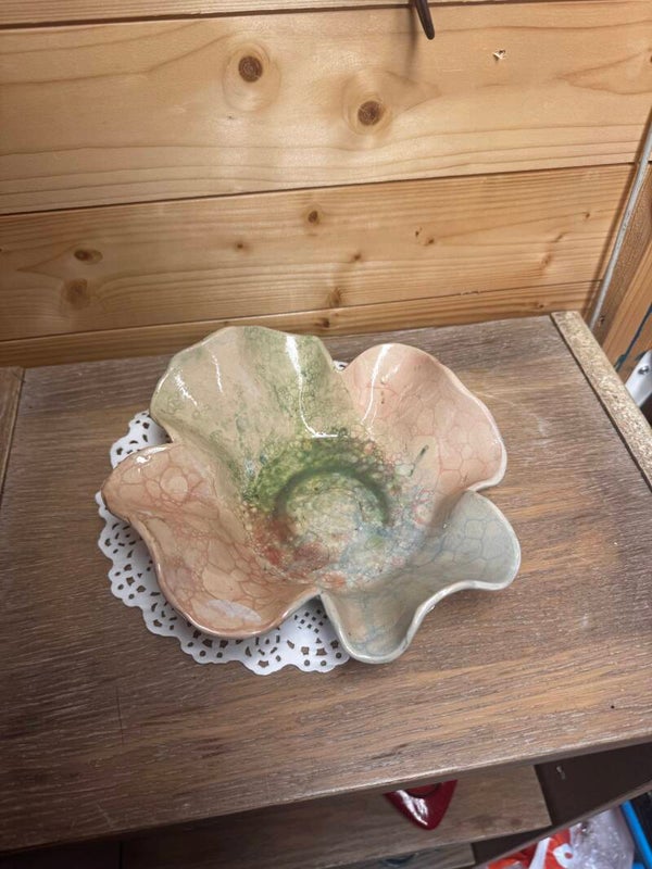 Roze/groen/blauw gevormde schaal