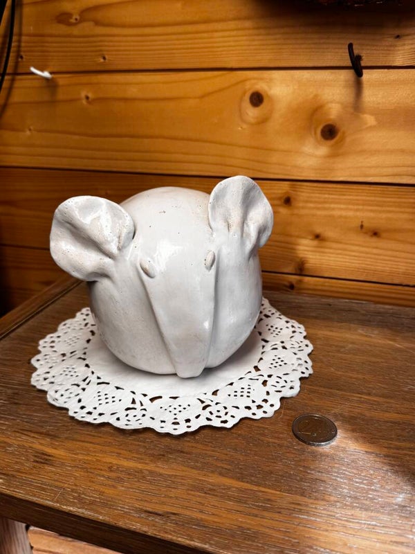 Grote witte olifant
