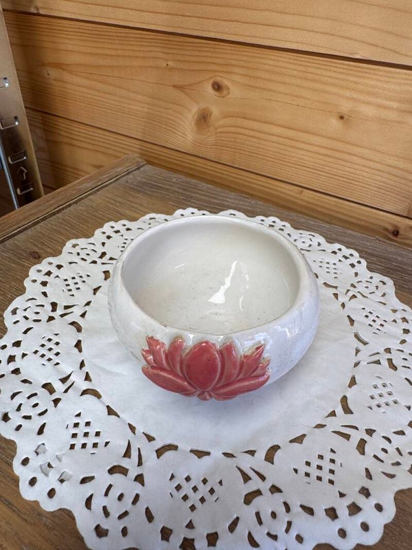 Lotus schaaltje