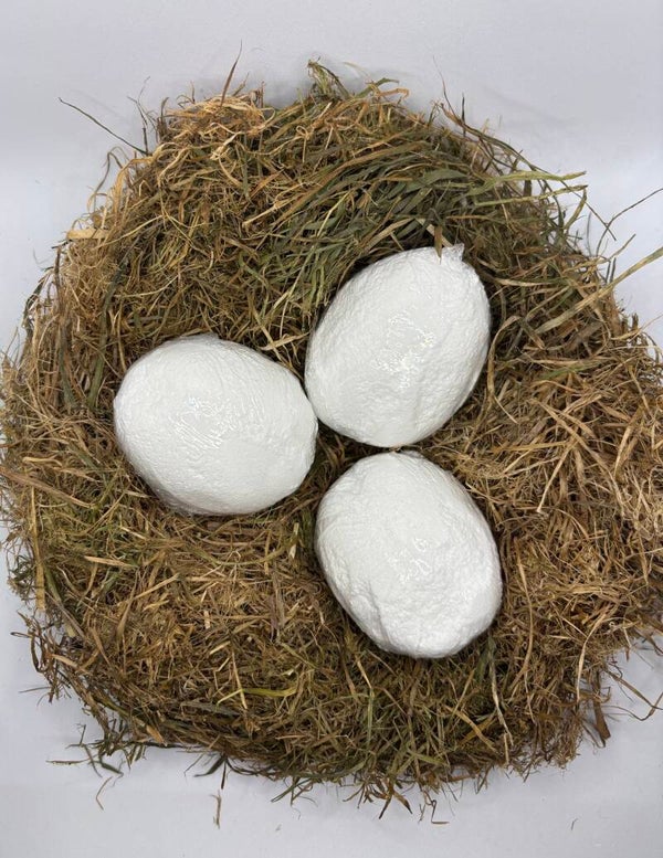 Noix de coco