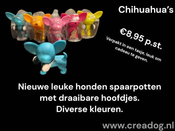 Chihuahua spaarpot