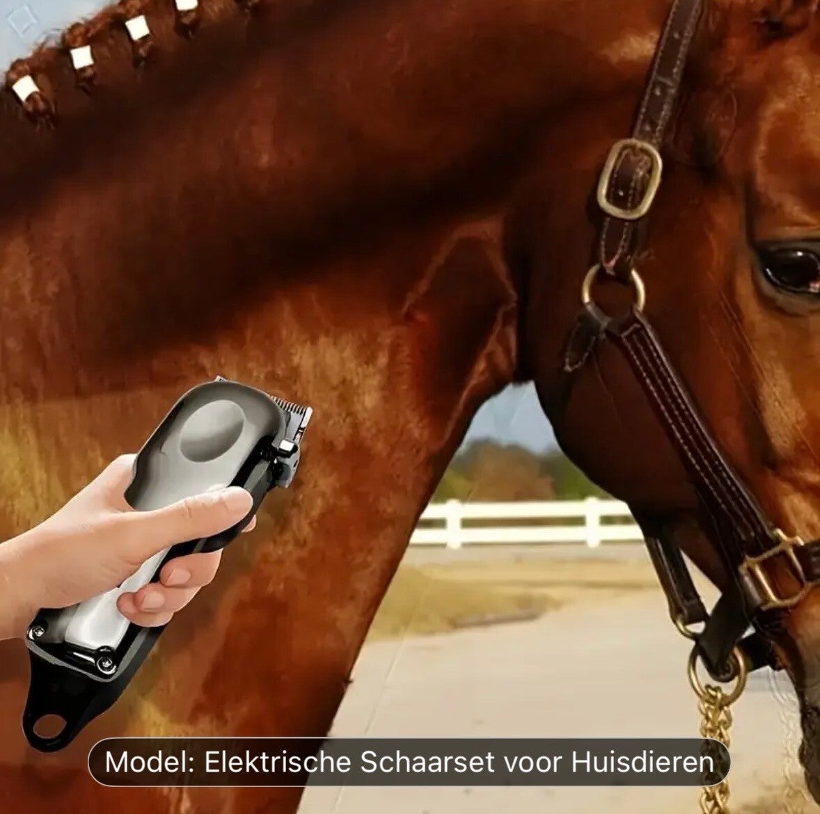 1 stuks oplaadbare tondeuse voor paarden, honden en katten