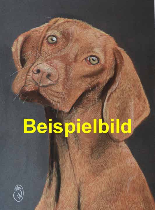 Pastellportrait eines Tieres