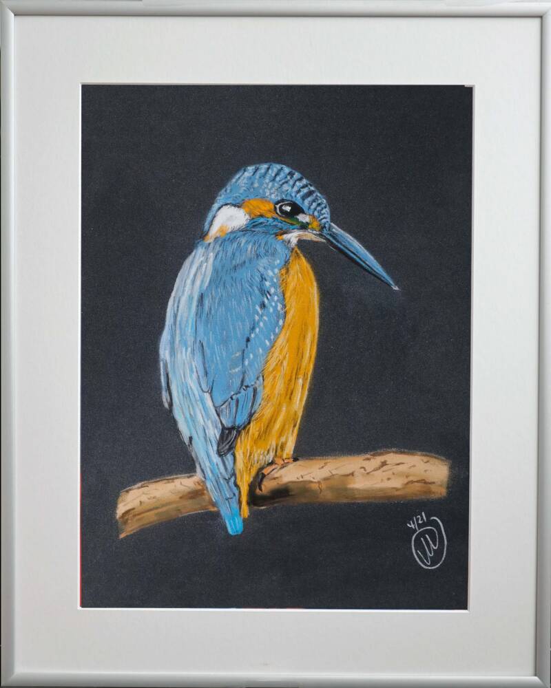 Pastellportrait Eisvogel