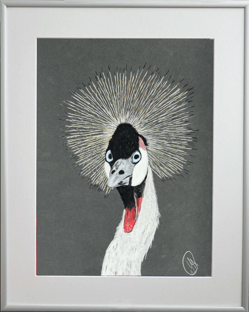 kronenkranich-klaus-kunst-art-1.jpg