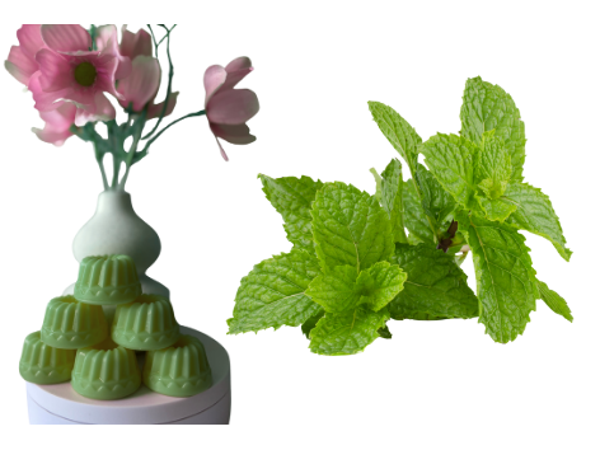 Fondant parfumé savarin parfum menthe chlorophylle