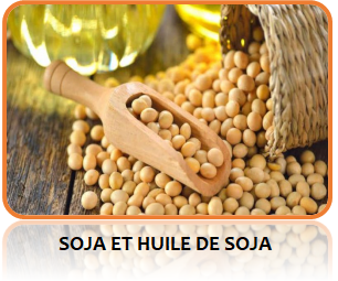 Soja du BENIN