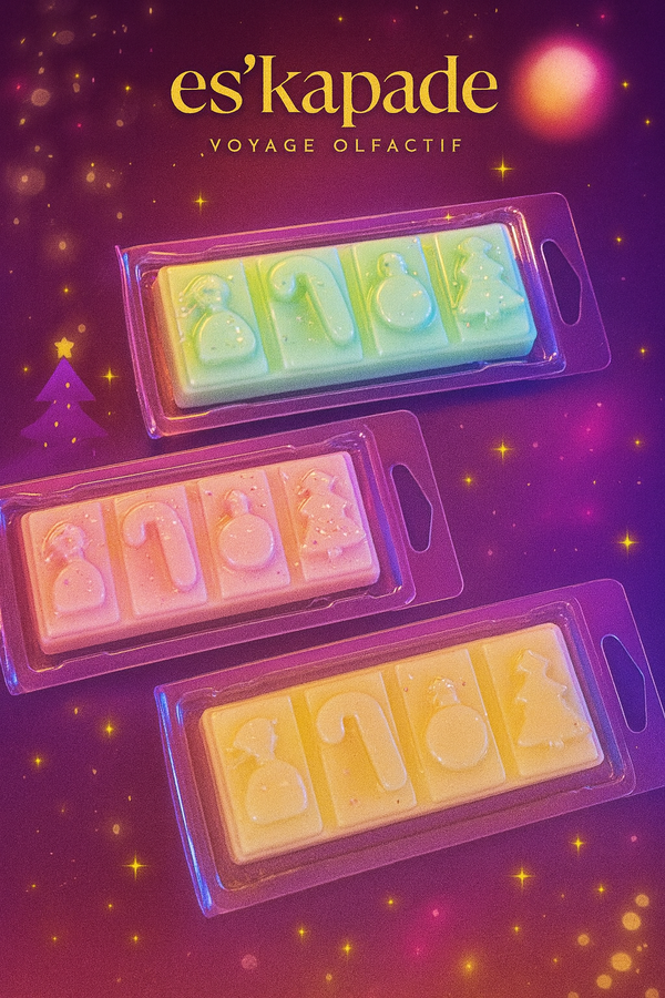 Mini tablettes parfumées 48 g – Es’Kapade