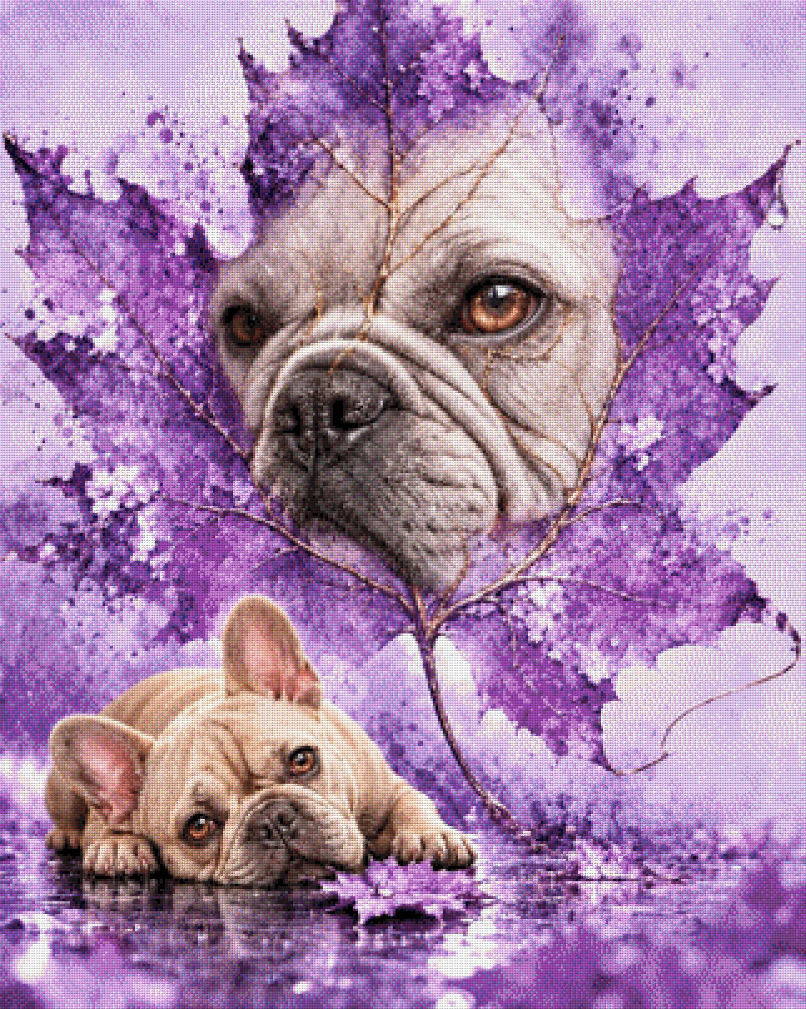 Frenchie "violett"