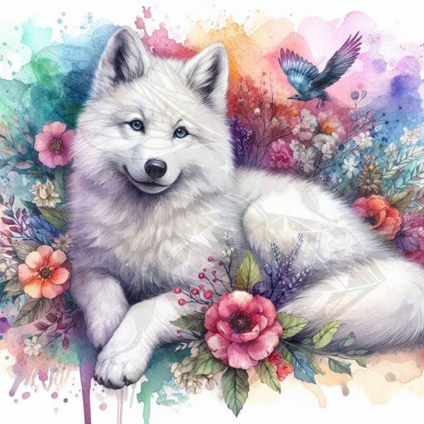 Minko