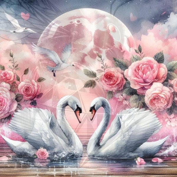 Swan in Love