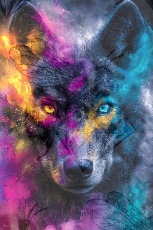 Two Color Eyes