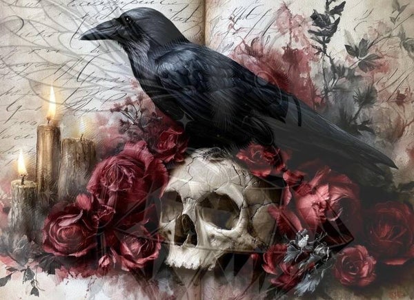 Raven on Skull