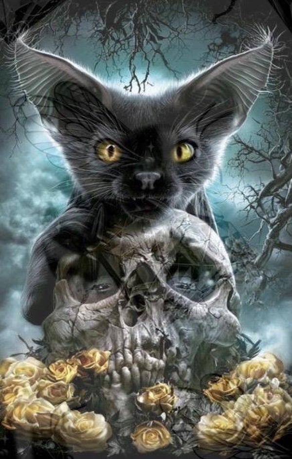 Bad Kitty