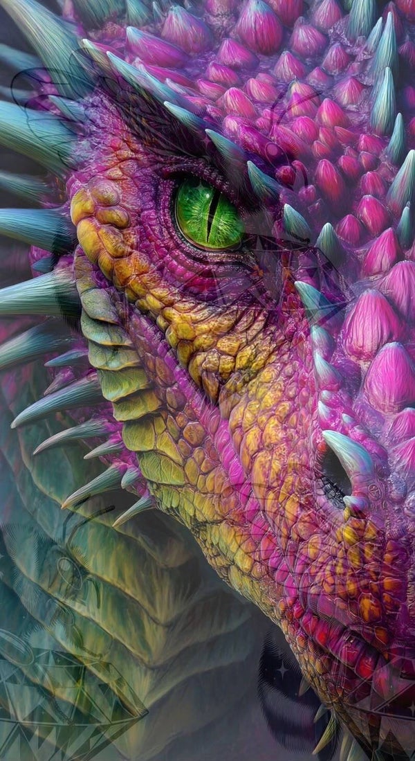 Colorfull Dragon