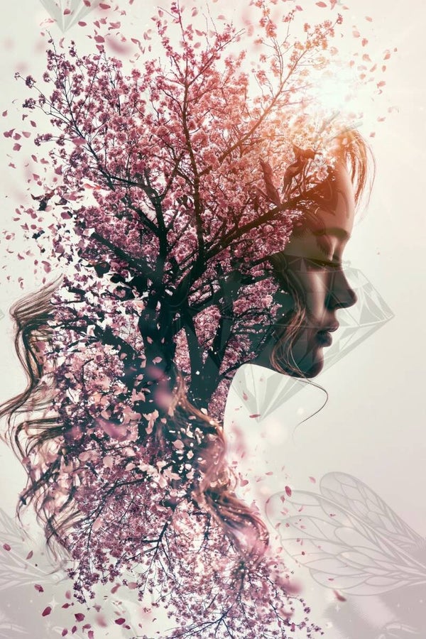 Flower-Dream