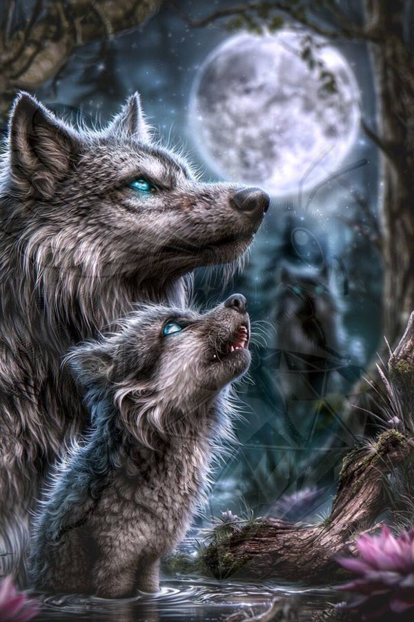 Moon-Light