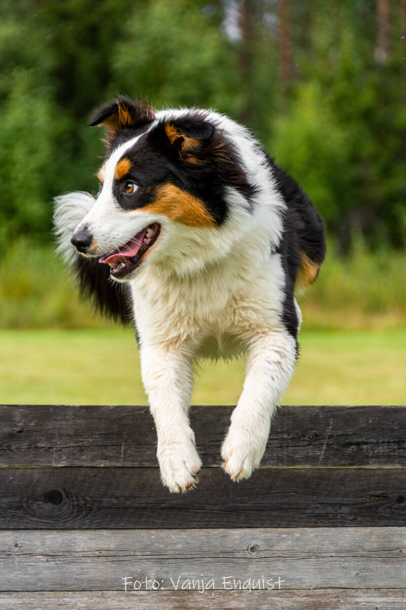 Foto: Vanja Enquist