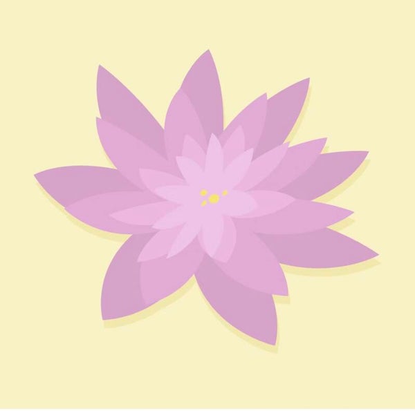 Emotion Code 1 hour session $160.00