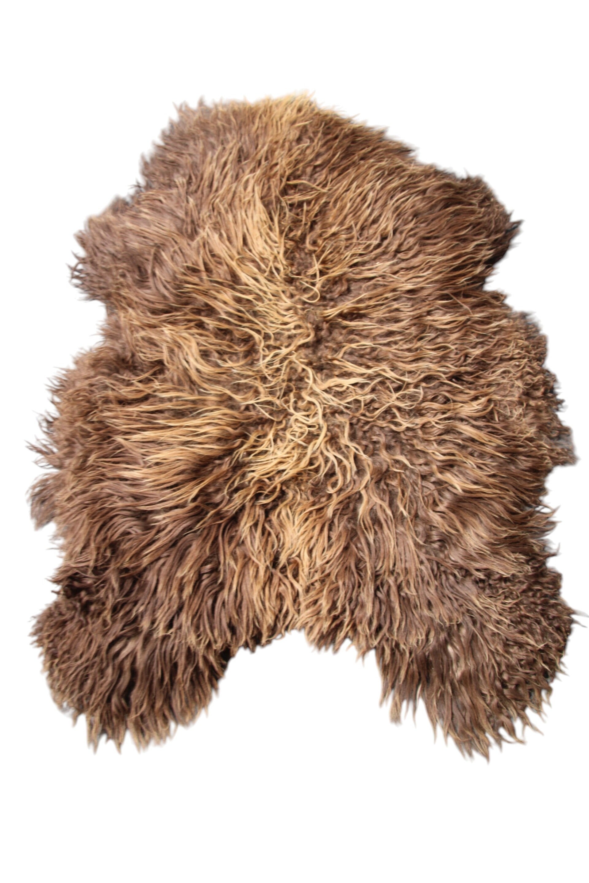 CURLY SCHAPENVACHT-BRUIN-IJSLAND-2802-ONGEVERFD