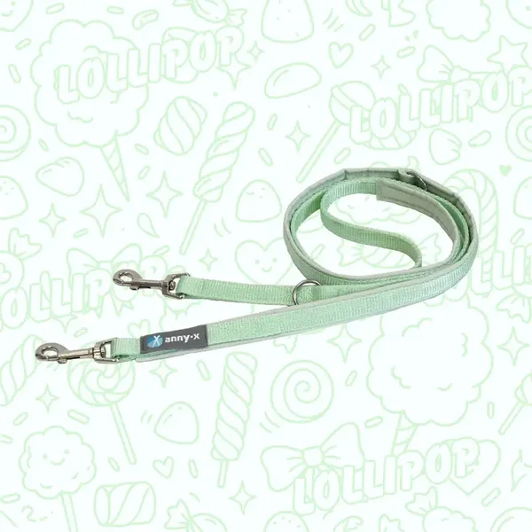annyx Limited Edition Lollipop mint
