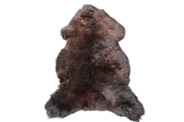 Deze schapenvacht (nr. 2708) heeft een schitterende mix van lichte en donkere bruintinten 😍