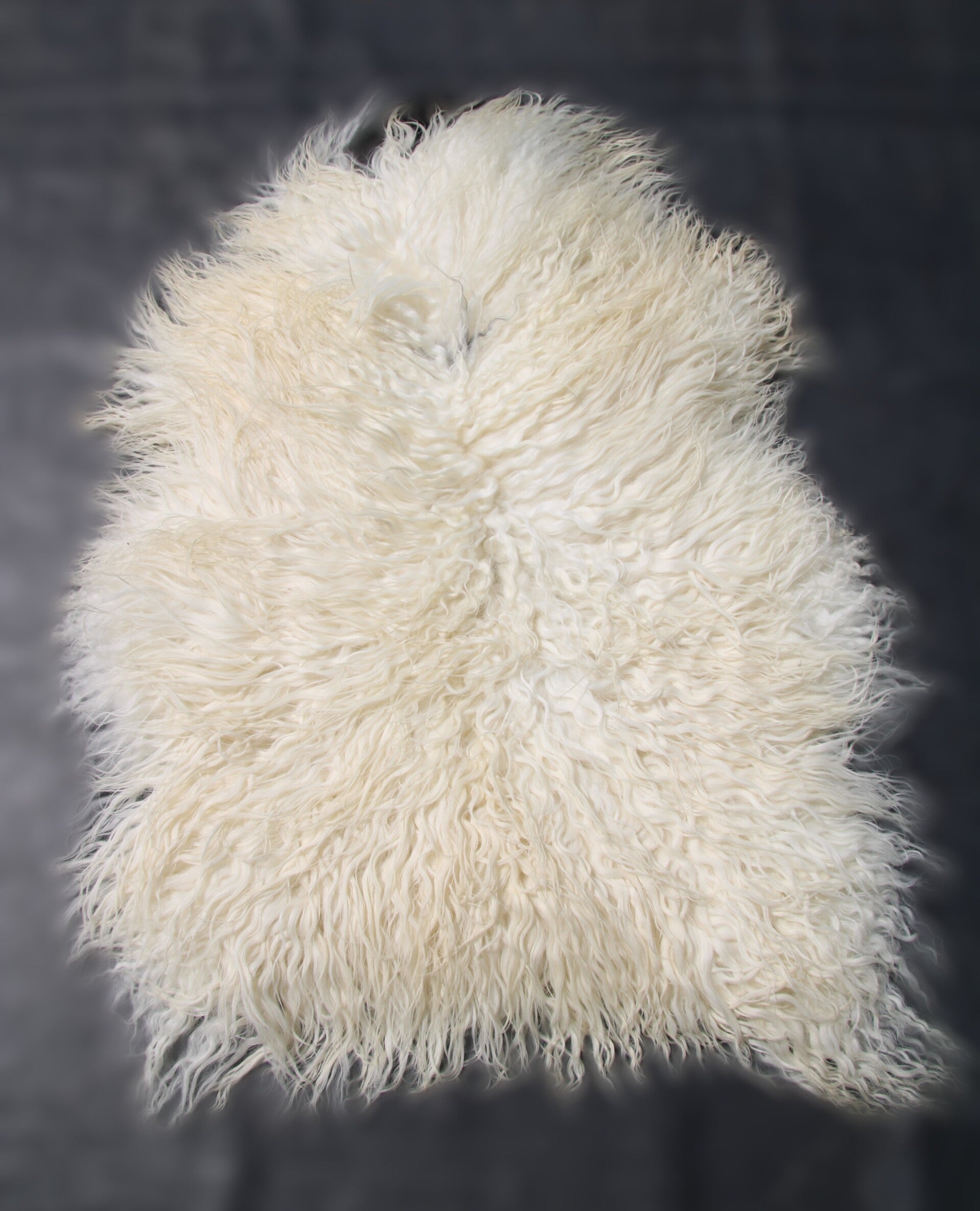 IJslands schapenvacht Curly   wol -2801