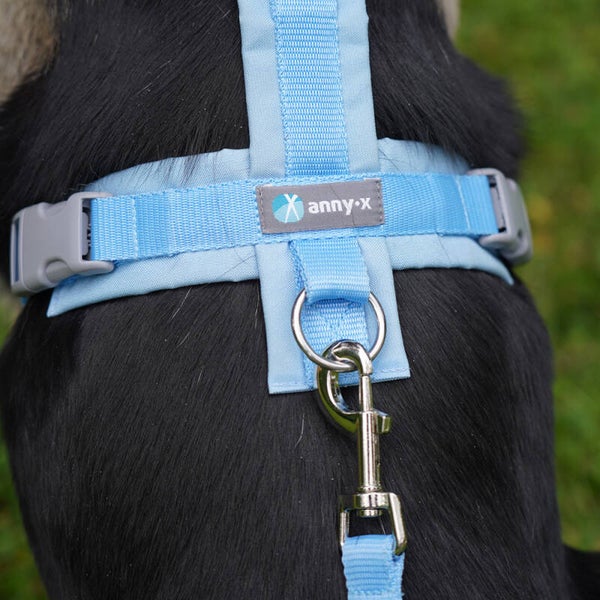 annyx Limited Edition  bolt classic Marshmallow