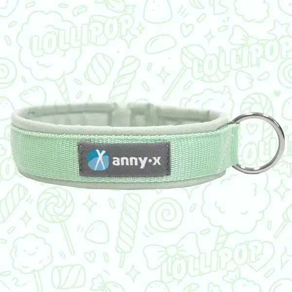 annyx Limited Edition Lollipop mint