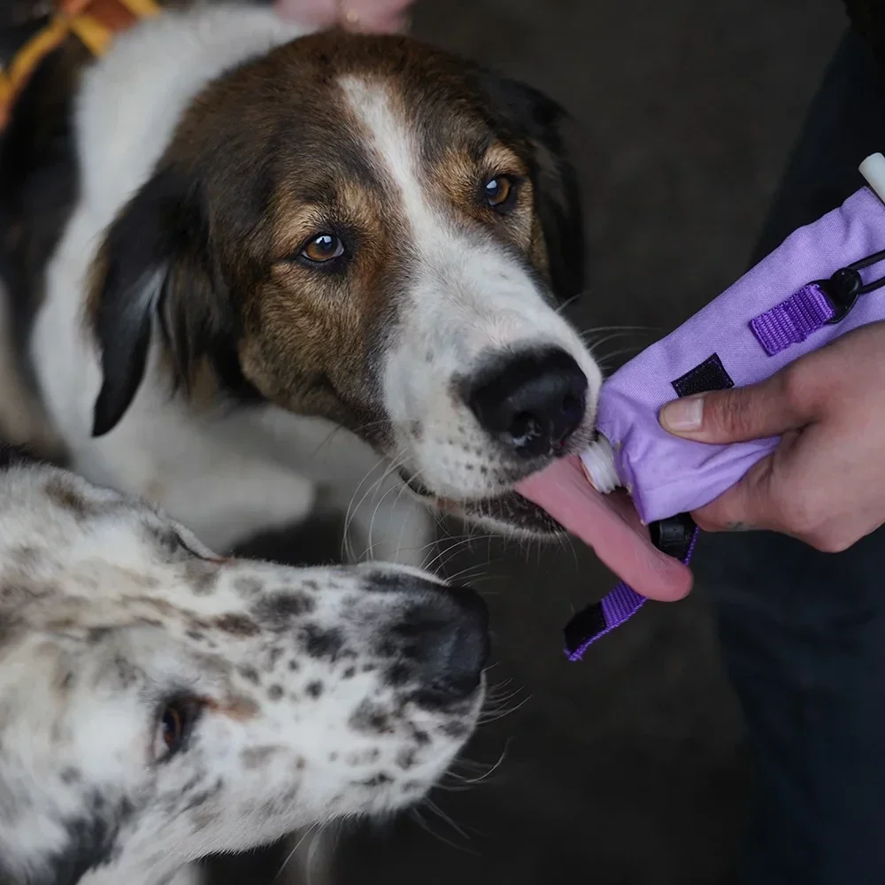 Annyx Hervulbare Beloningstube    - Tubehouder – Perfect Match met Annyx Heupbanden & Tuigjes