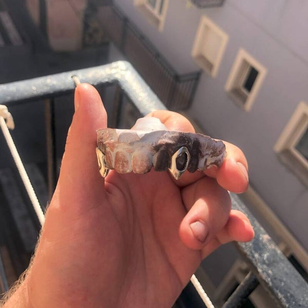Open Fang Grillz