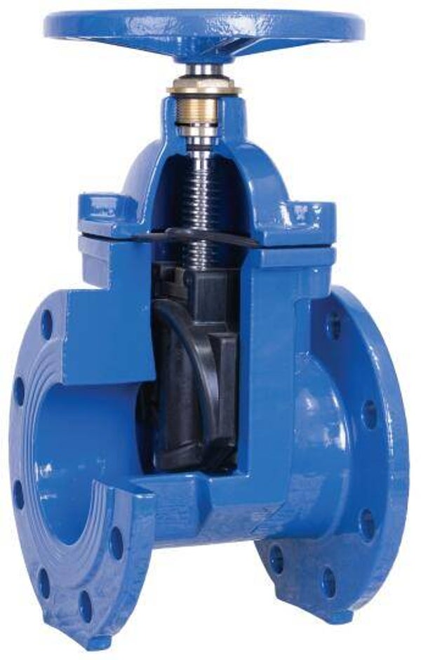 Resilient seated gate valve with Flanged