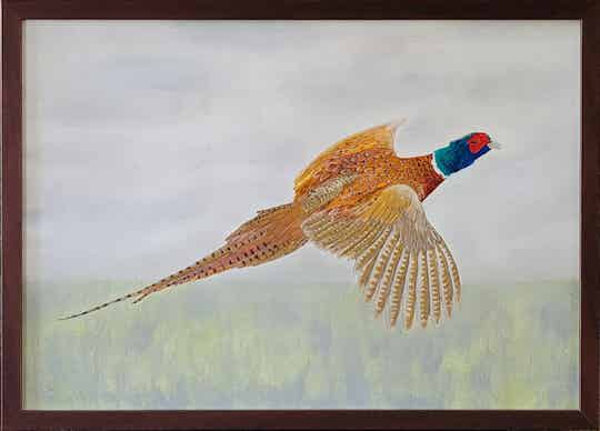 Pheasant in Flight Oil Painting