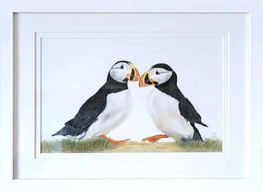 Pair of Puffins Polychromos Pencil