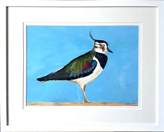 Lapwing on the Beach Oil Painting