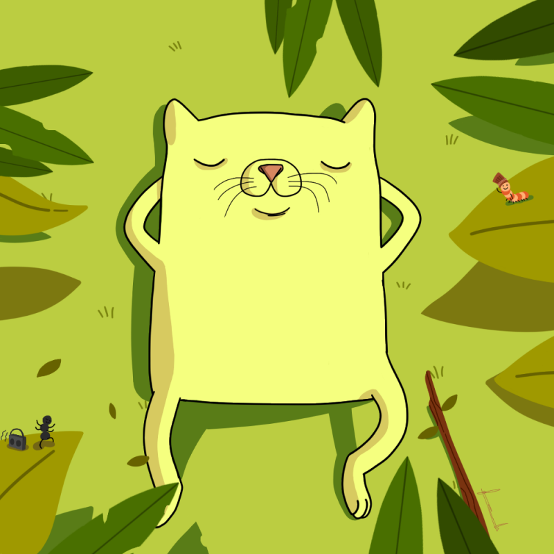 cat-standard.png