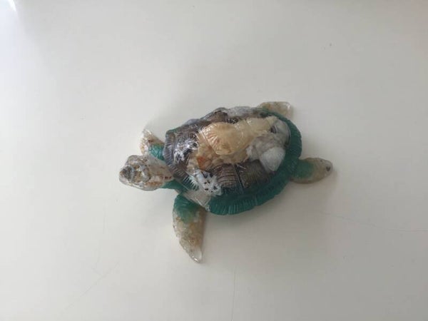 Petite Tortue déco 3