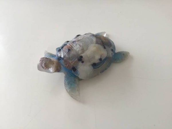 Petite Tortue déco 7