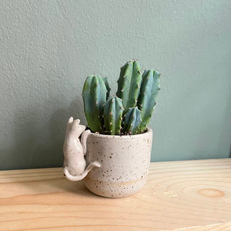 Uniek Handgemaakt Keramieken Kopjes met katten - Perfect voor Natuurliefhebbers