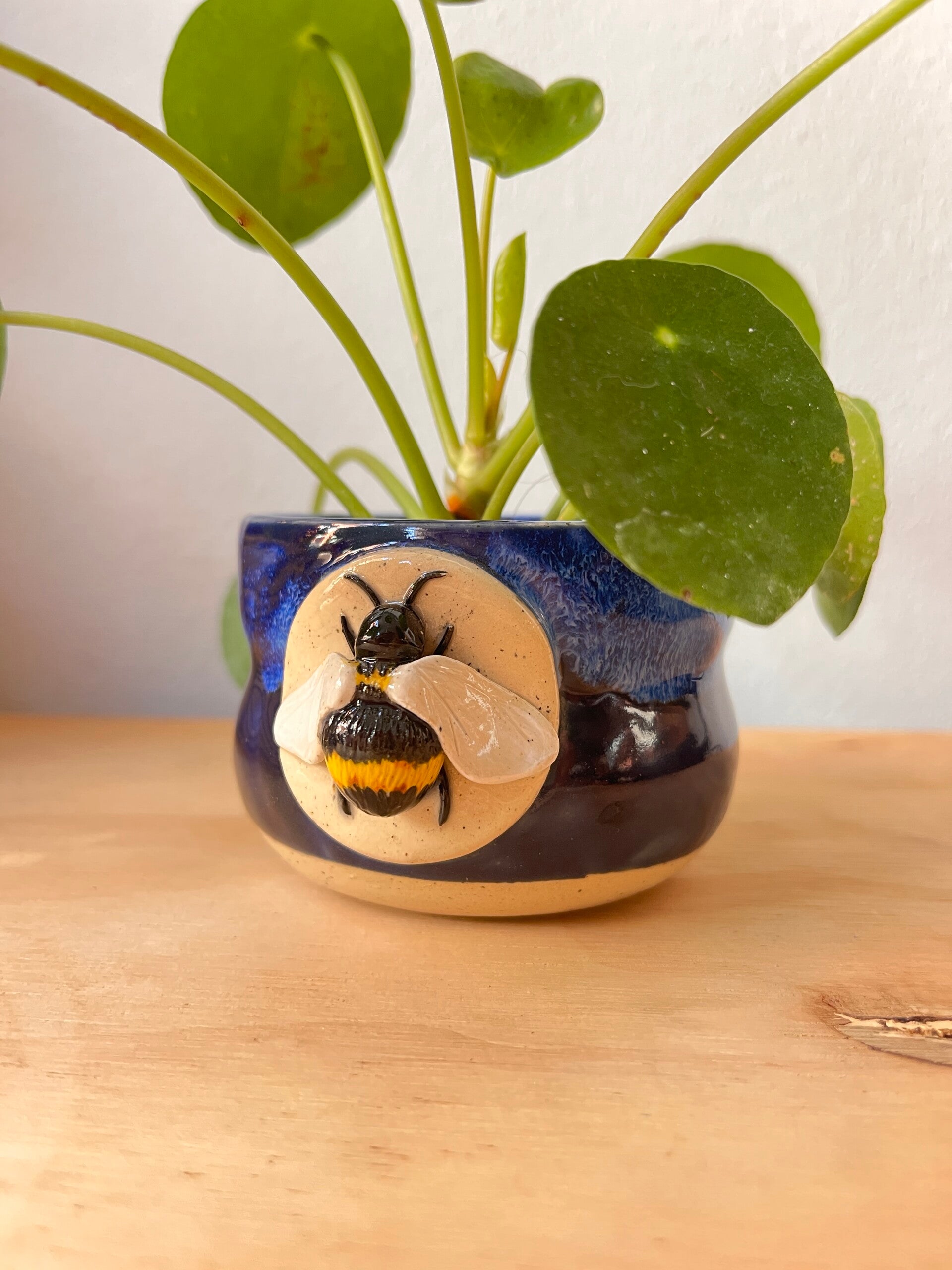 Uniek Handgemaakt Keramieken wandhanger vaasje met kat - Perfect voor Natuurliefhebbers