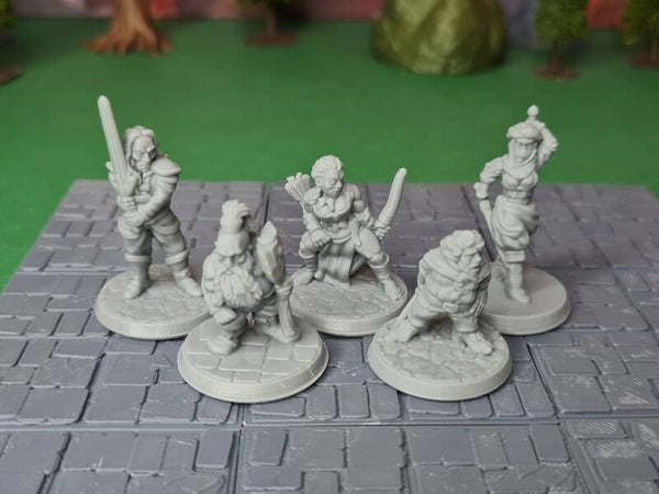 Adventuring Party 11