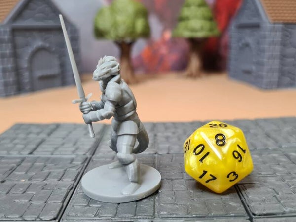 Dragonborn Fighter with Sword