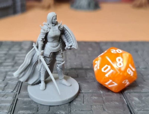 Oathbreaker Paladin 3