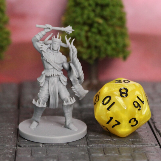 Cleric of Tiamat
